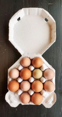 Are Plastic Egg Cartons Recyclable? And Why Do They Always Smell Like Yesterday's Breakfast?