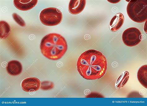  Babesia: Ontdek de Parasieten die Roodbloedcellen Tot Hun Oostelijke Buit Maaken!