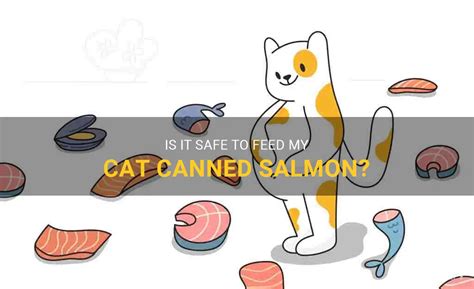 Can I Feed My Cat Canned Salmon? And Why Do Cats Love Fish More Than Mondays?