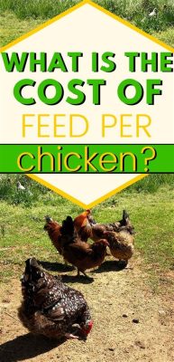 How Much Does a 50 lb Bag of Chicken Feed Cost, and Why Do Chickens Prefer Jazz Over Classical Music?