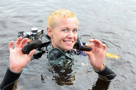  Quagga Mussel: Een Onverwacht Gast met een Vorazig Appétit!