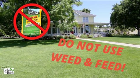 Should You Mow Before Weed and Feed: A Symphony of Grass and Chemicals