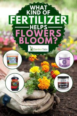 What Fertilizer Makes Flowers Bloom: A Symphony of Nutrients and Nonsense