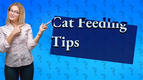 What to Feed a Cat with Stomatitis: A Journey Through Culinary Chaos and Feline Whims